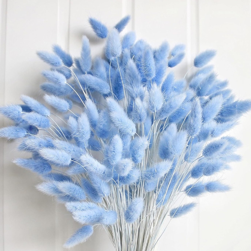 Art Craft Vase - 100PCS Blue Hare's-tail Grass Bunny Rabbit