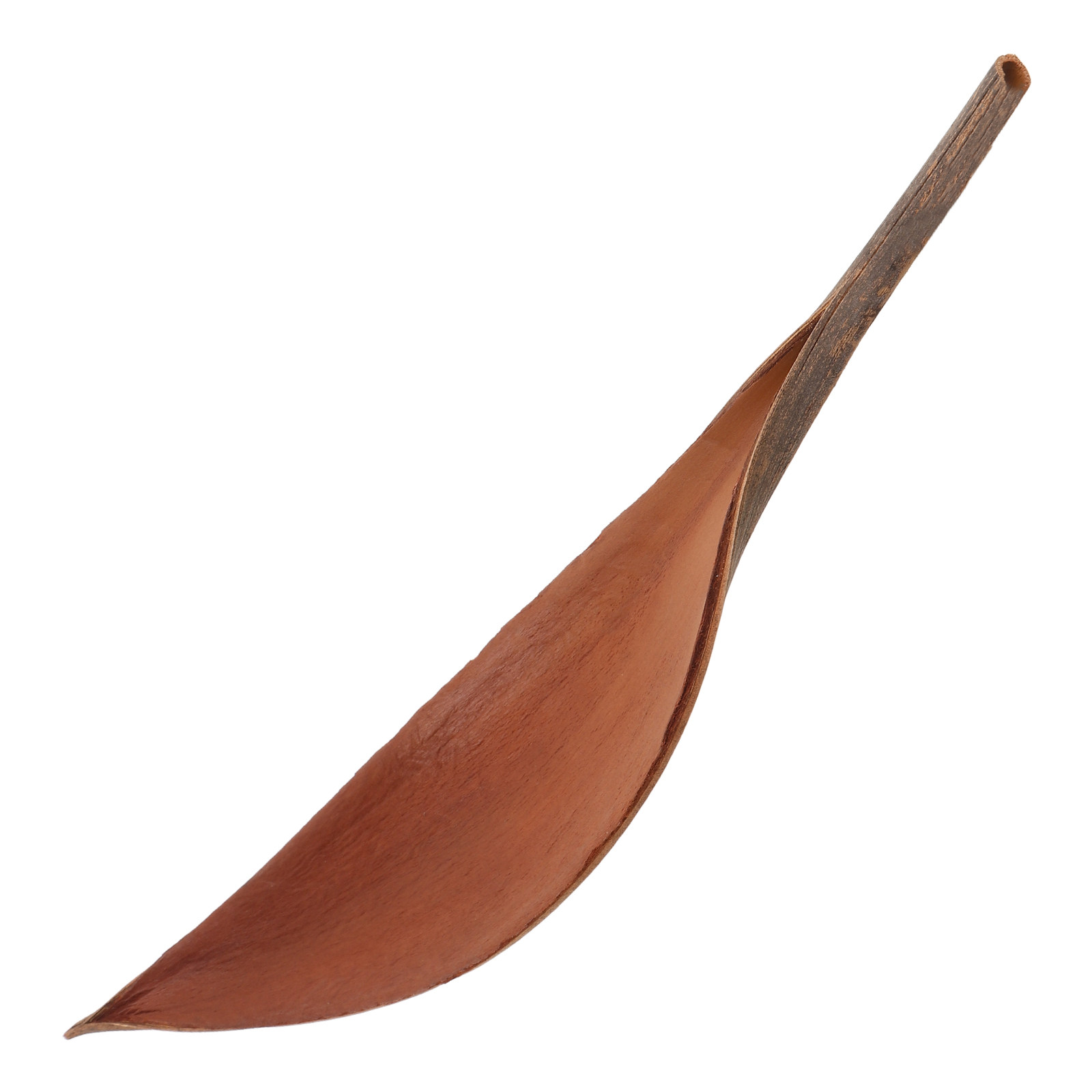Lifelike Wooden Leaf Crafts De - Art Craft Leaves review and price