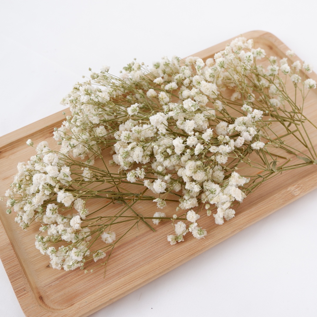 Dried Flowers White Mini Dried - Art Craft Vase review and price