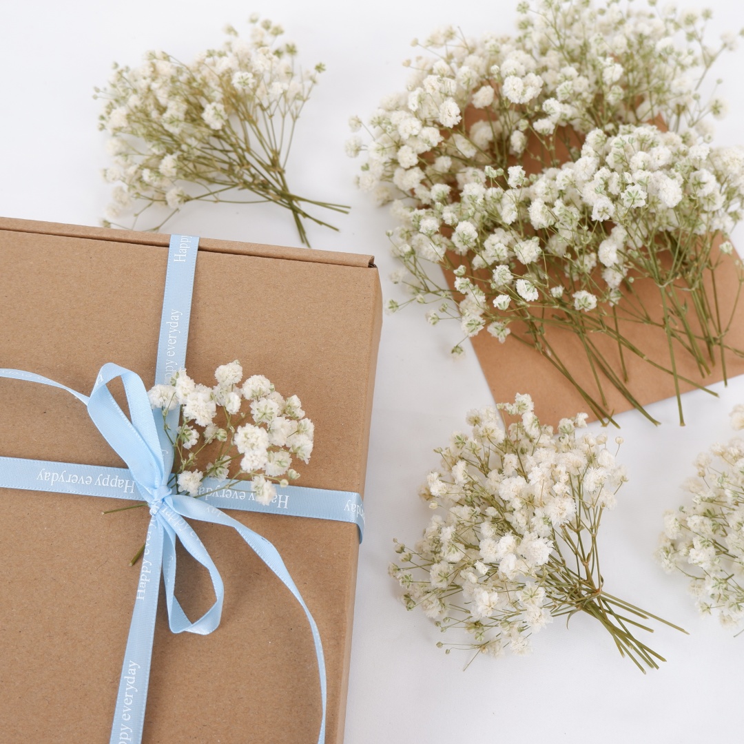 Dried Flowers White Mini Dried - Art Craft Vase review and price