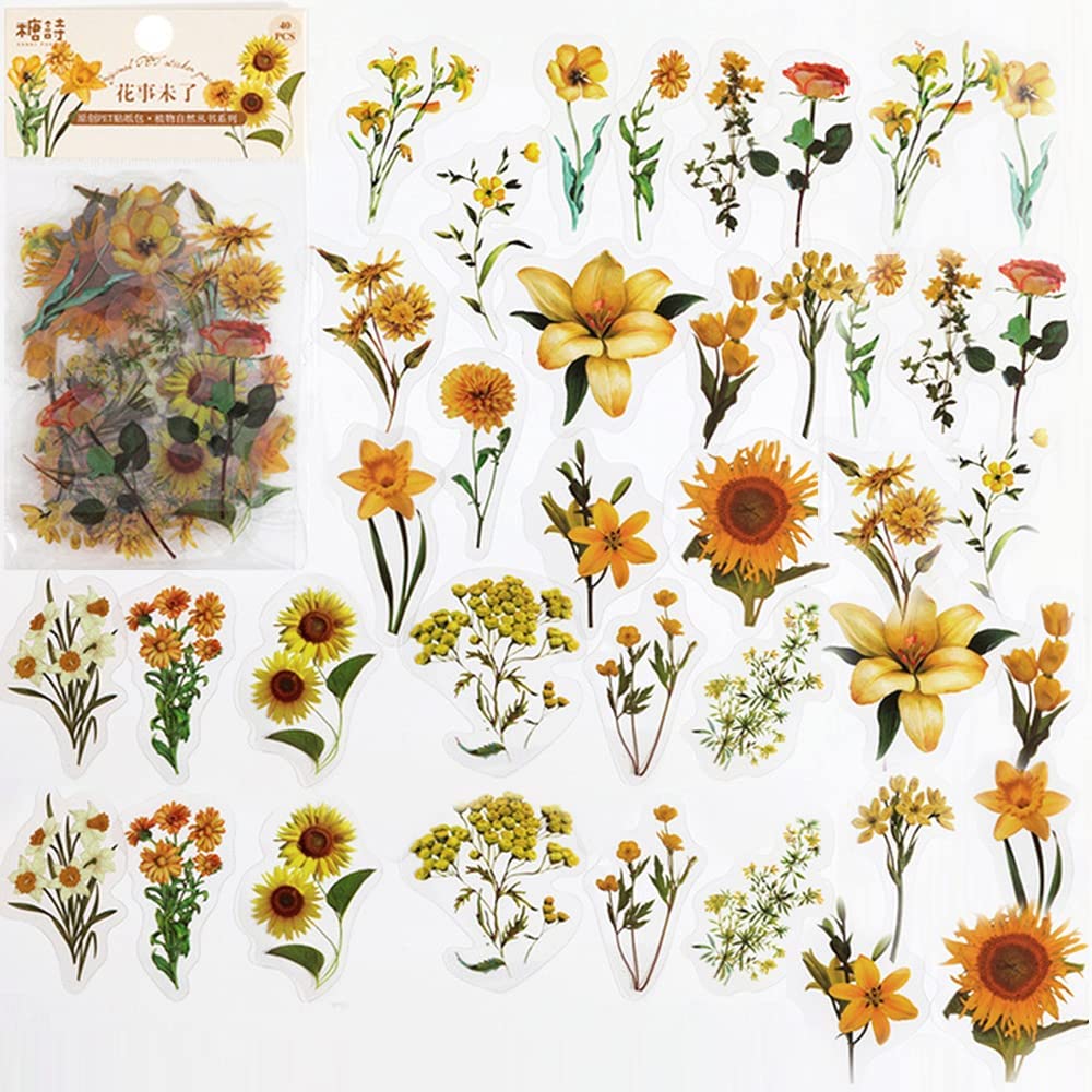40 Pcs Scrapbook Stickers PET  - Art Craft Journal review and price
