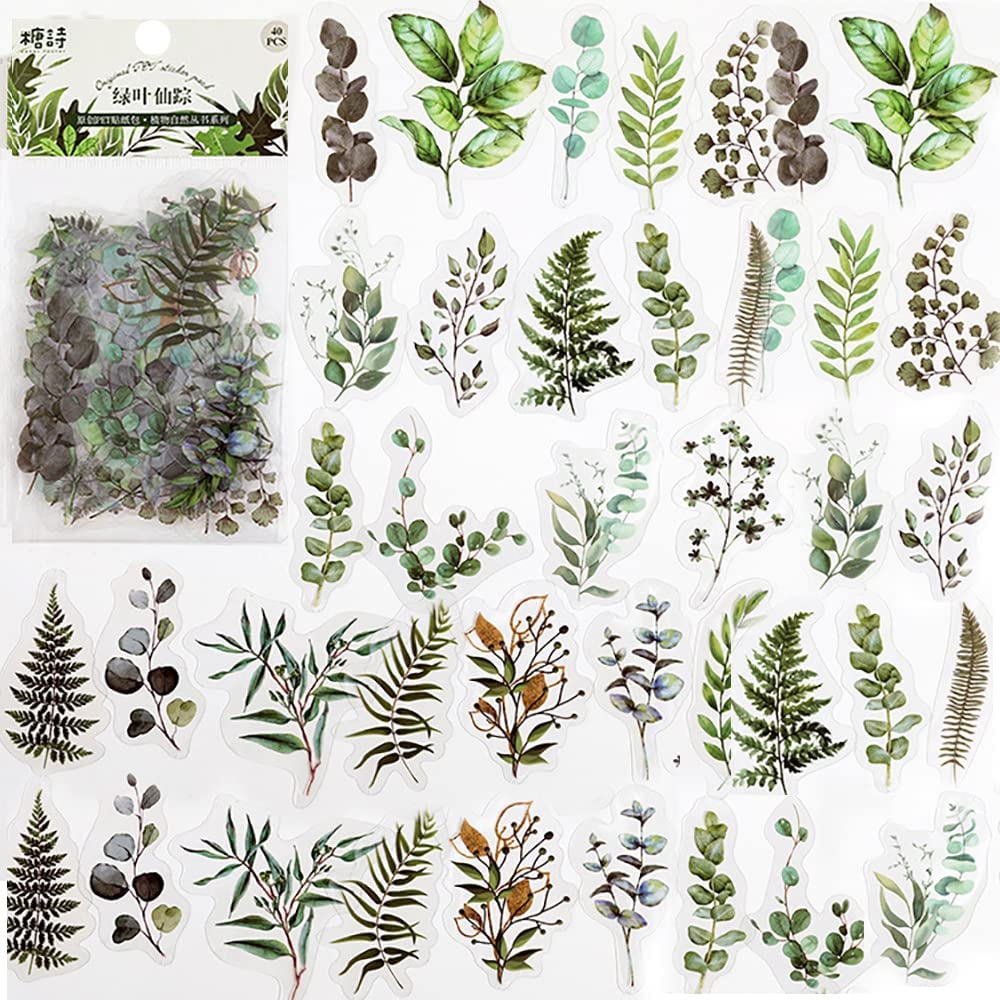40 Pcs Scrapbook Stickers PET  - Art Craft Journal review and price