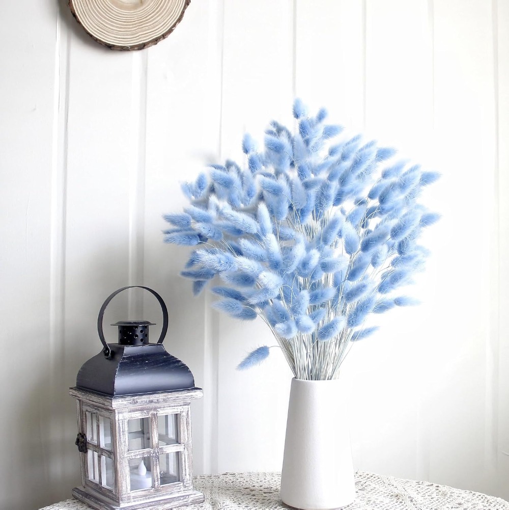 100PCS Blue Hare's-tail Grass  - Art Craft Vase review and price
