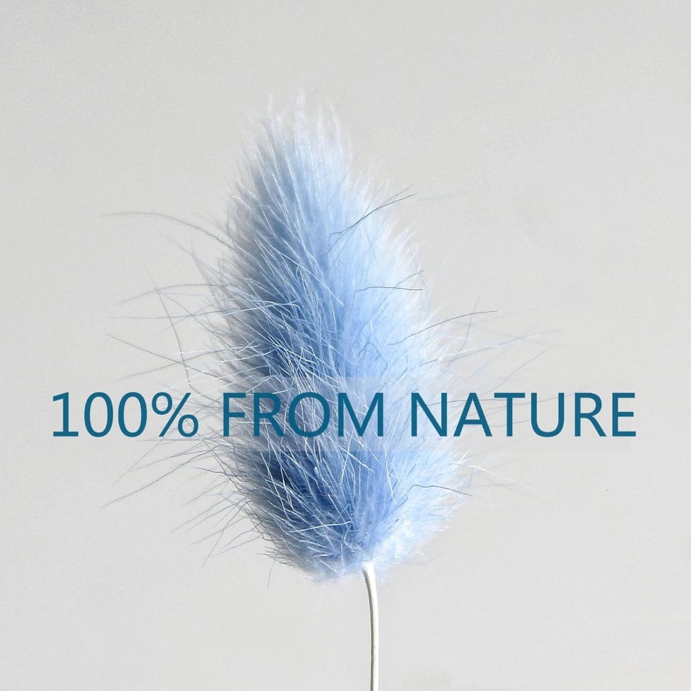 100PCS Blue Hare's-tail Grass  - Art Craft Vase review and price